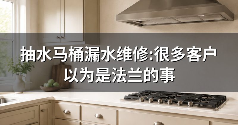 抽水马桶漏水维修:很多客户以为是法兰的事