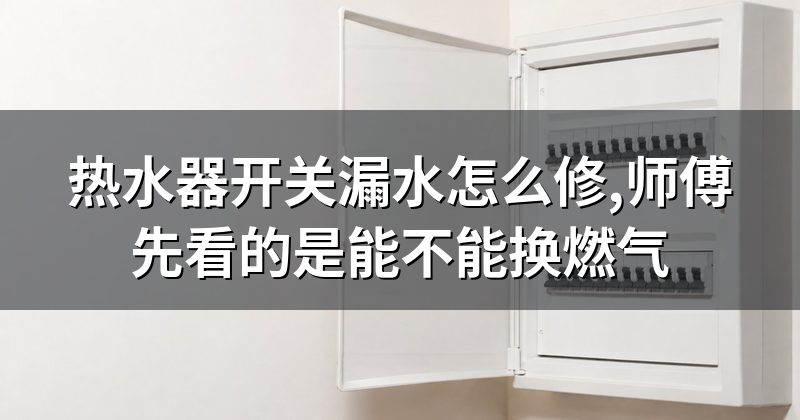 热水器开关漏水怎么修,师傅先看的是能不能换燃气