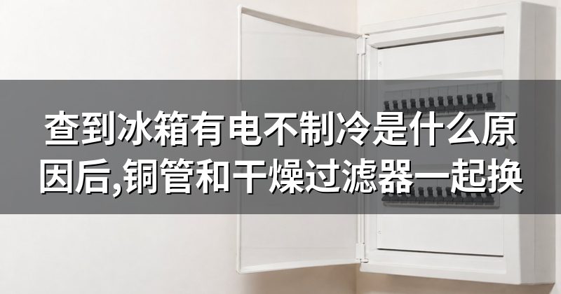 查到冰箱有电不制冷是什么原因后,铜管和干燥过滤器一起换