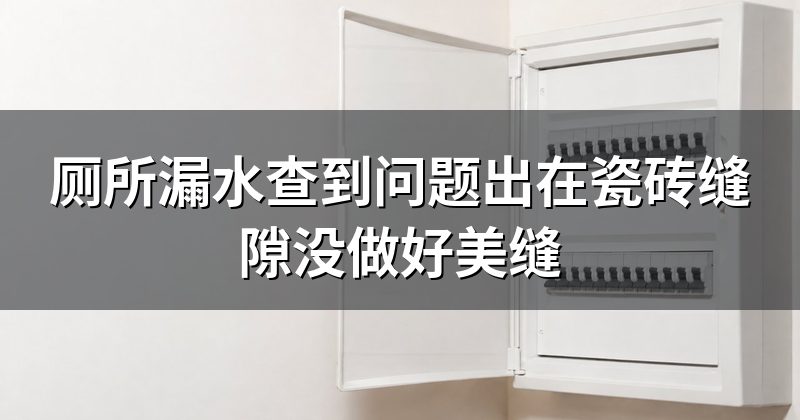 厕所漏水查到问题出在瓷砖缝隙没做好美缝