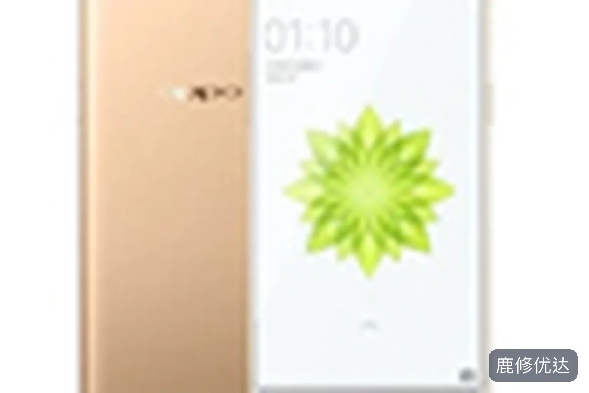OPPO Reno4 Pro上门服务