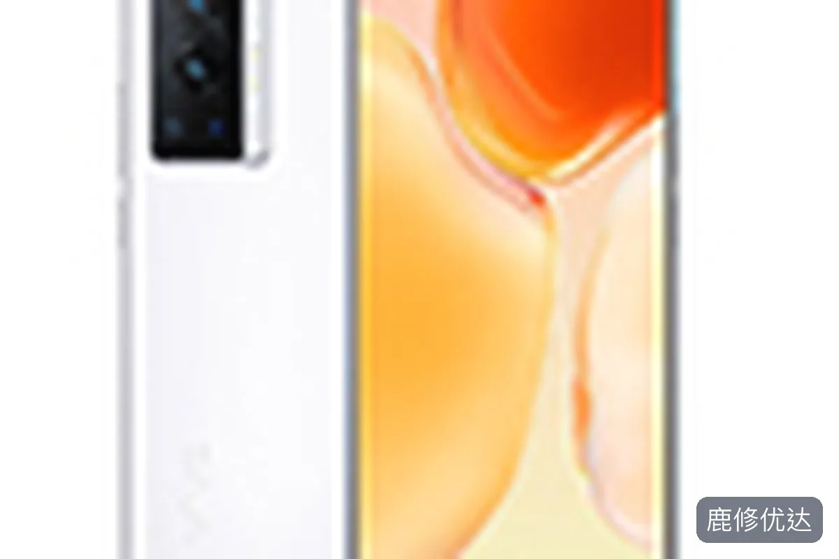 vivo S10 Pro上门服务