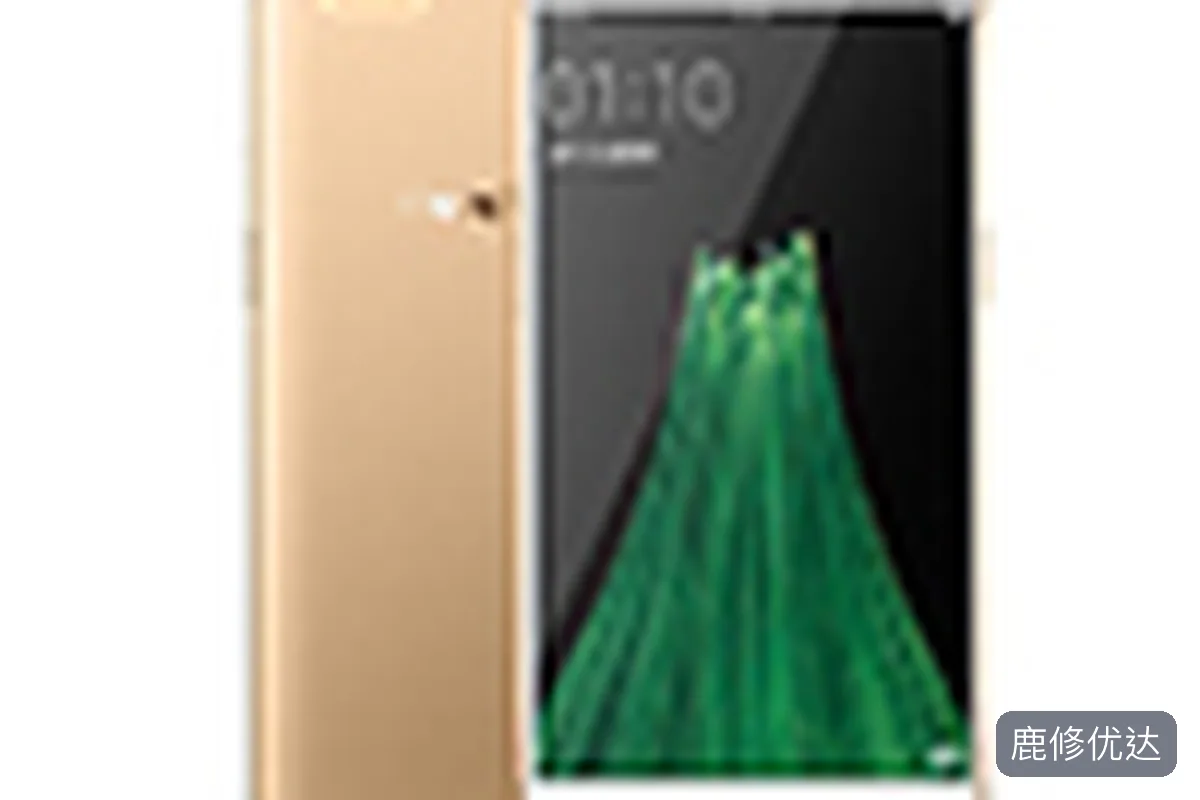 OPPO R11 Plus上门服务