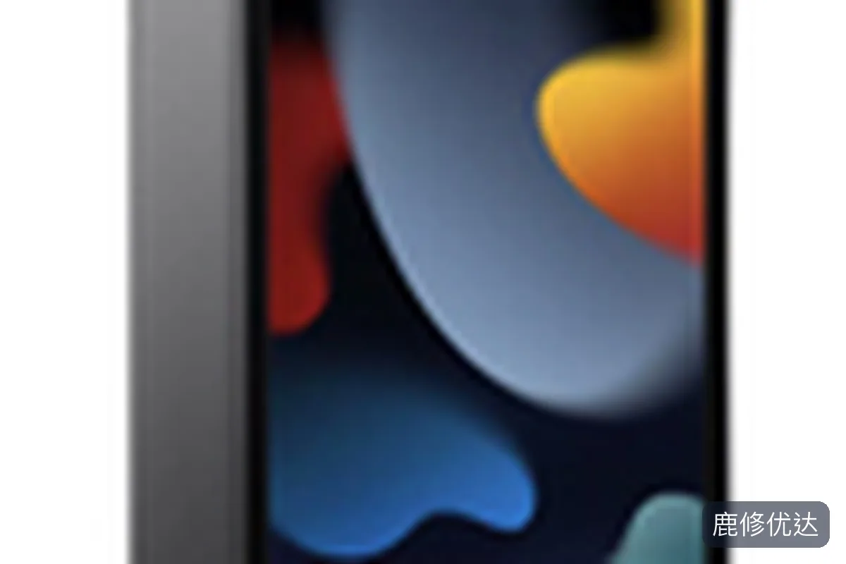 iPad Air上门服务