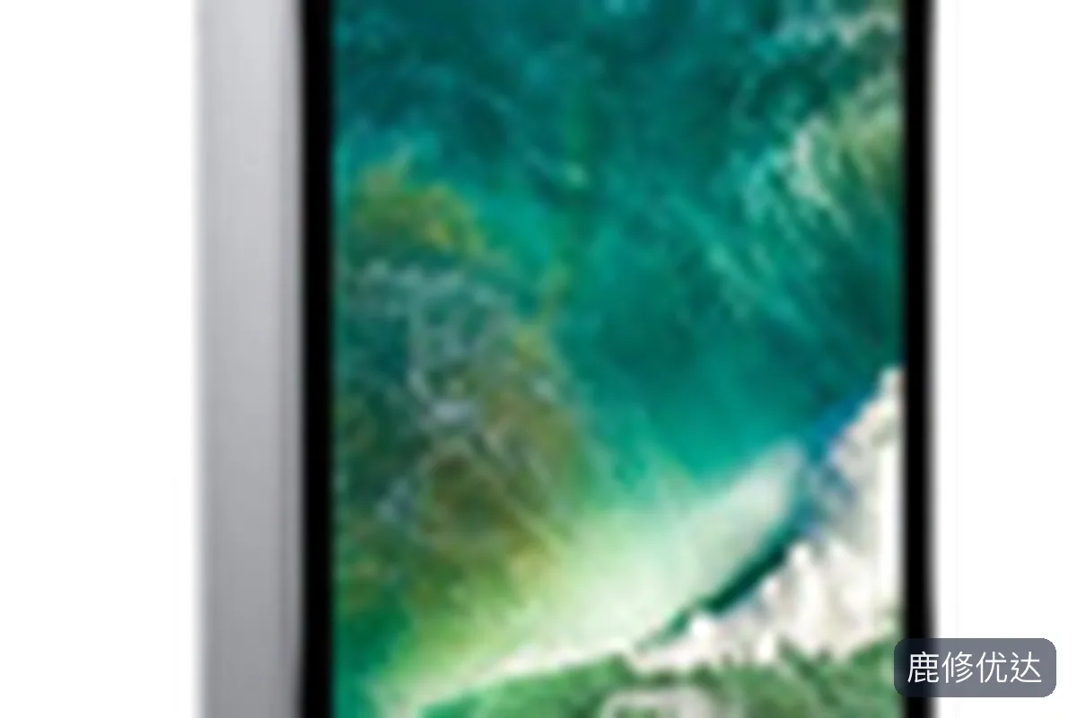 iPad Pro2 2017款（12.9英寸）上门服务