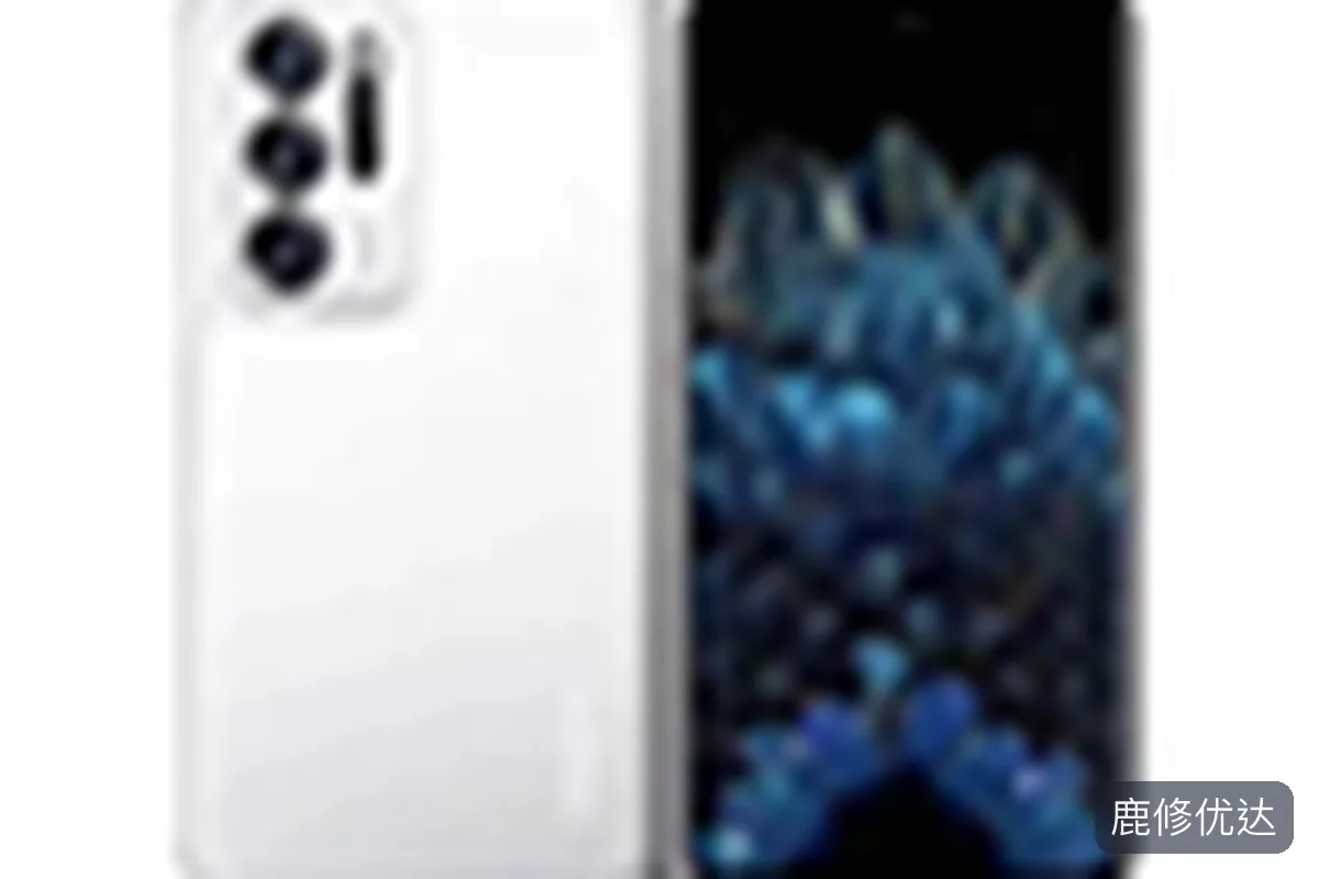 OPPO Find N上门服务